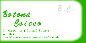 botond csicso business card